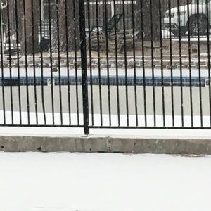 Meet your Posher, Iris